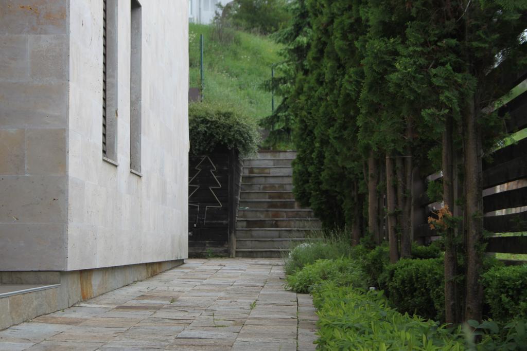 The Stone Villa Beli Iskar Buitenkant foto